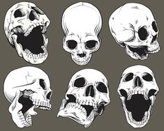 the human skull with different facial expressions