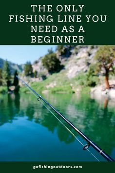 the only fishing line you need as a beginner is on this post it's easy to find and use