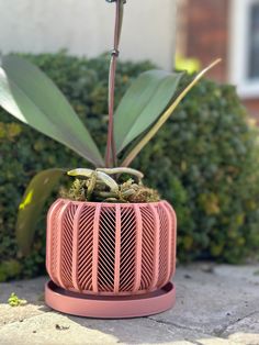 a pink planter sitting on top of a stone floor next to a bush and shrub