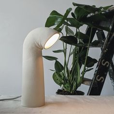 a white lamp sitting on top of a table next to a potted plant