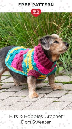 a small dog wearing a colorful sweater with text overlay that reads, free pattern bits & bobbles crochet dog sweater