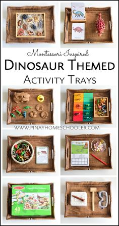 dinosaur themed activity trays for kids to play with