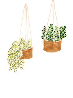 two potted plants hanging from twine