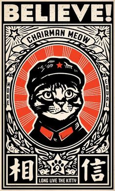 a poster with an image of a cat wearing a hat and the words believe on it