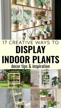 an assortment of indoor plants with text overlay that reads 17 creative ways to display indoor plants