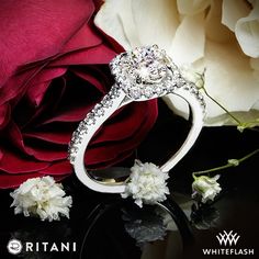 This Ritani French-Set Cushion Halo Diamond Band Engagement Ring is part of the Bella Vita Collection. Luxury Diamond Jewelry With Side Stones, Elegant Diamond Ring With Side Stones As Gift, Luxury White Halo Ring With Center Stone, Luxury Wedding Diamond Ring With Side Stones, Luxury White Halo Ring With Round Cut, Luxury White Gold Jewelry With Side Stones, Elegant White Jewelry With Side Stones, Luxury Diamond Ring With Diamond Accents For Proposal, Luxury Diamond Ring With Side Stones