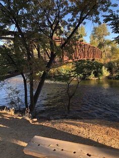 a bench sitting on the side of a river next to a tree and bridge in the background