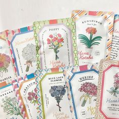 six flower seed packets with flowers on them