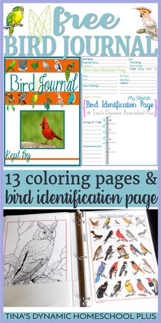 the bird journal and coloring pages are shown in this collage with text overlays