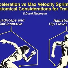 an image of a man running with the words marathon vs max velocity sprint