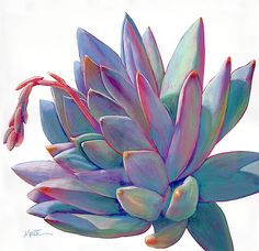 an image of a flower that is painted in pastel and watercolor canvas print