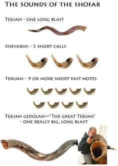 an info sheet showing different types of hair