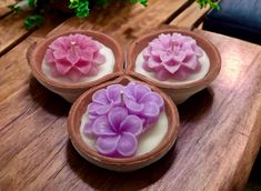 three bowls with flowers in them sitting on a wooden table next to a potted plant