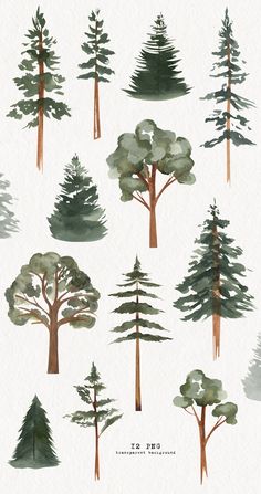 Painted Pine Trees On The Wall, Tree Painting Easy Simple, Wedding Invitation Logo, Tree Clipart Png, Country Watercolor, Evergreen Wedding, Tree Watercolor Painting, Tree Clipart, Watercolor Lessons