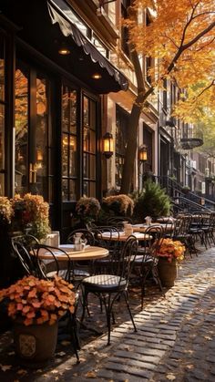 tables and chairs are lined up on the sidewalk in front of a restaurant with autumn foliage