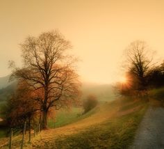 the sun is setting behind two trees on a grassy hill with a path leading up to it