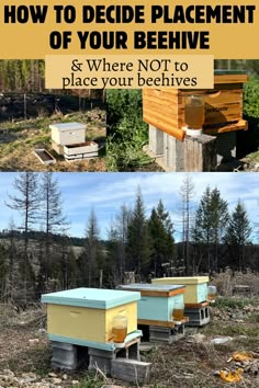 several beehives with the words how to decide placement of your hivehive