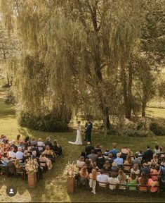 an outdoor wedding ceremony under a willow tree