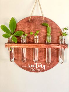 a wooden sign that says rooting for you hanging on a wall with glass jars and plants in them