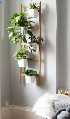 a wall mounted shelf with plants on it