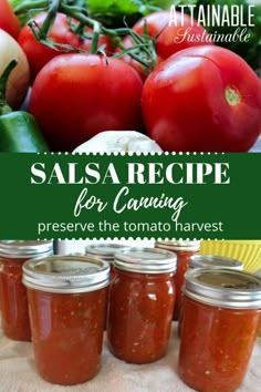 salsa recipe for canning preserve the tomato harvest