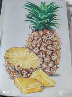 a drawing of a pineapple and two slices of pineapple