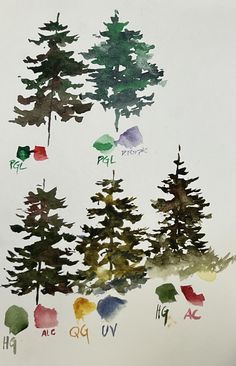 some trees are painted with watercolors on paper