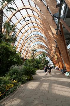 people are walking down the walkway in an indoor area with palm trees and other greenery