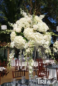 white flowers are in a tall vase on the table