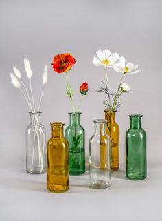 four different colored glass vases with flowers in them