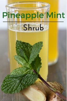 pineapple mint shrub in front of two glasses