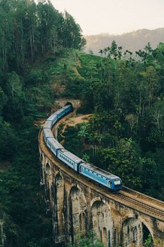 a blue train traveling over a bridge in the middle of a lush green forest covered hillside