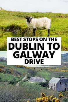 a sheep standing on top of a lush green hillside next to a rural countryside with text overlay that reads best stops on the dublin to galaxy drive