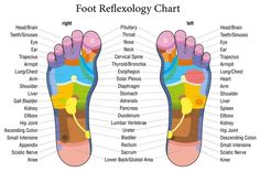 Onion In Sock, Reflexology Foot Chart, Bolesti Chrbta, Reflexology Chart, Foot Reflexology, Foot Soak, Baby Massage, Foot Massage, Solar Plexus