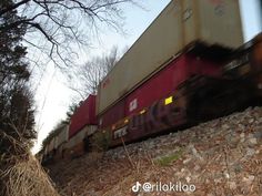 a train traveling down tracks next to a forest filled with leaf covered trees and grass