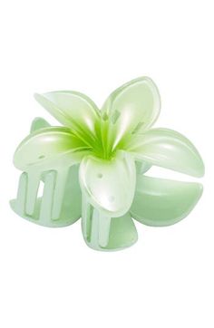 Tame your tresses with this plumeria jaw clip that'll lend a little tropical flair to your look. 3" x 2 3/4" Plastic/glass Imported Not available for sale and shipment to Germany Green Claw Clip Aesthetic, Plumeria Claw Clip, Aesthetic Flower Claw Clip, Plumeria Clip, Green Flower Claw Clip, Hawaii Flower Hair Clip, Tropical Accessories, Fragrance Cologne, Hairstyling Products