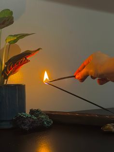 We invite you to enhance any zen space with our hand dipped and slow burning incense sticks. They are hand made out of all natural charcoal creating a cleaner and longer lasting burn.  Each package comes with 20 sticks - each burning for about an hour long 11" long stick with 8" of charcoal   - CLASSIC COLLECTION -  Palo Santo  - a grounding aroma of an unlit stick of palo santo combined with sandalwood  Nag Champa  - a beloved and most popular incense scent. fragrant resins, gums, sandalwood, a Lighting Incense, Scent Sticks, Zen Space, Nag Champa, Burning Incense, Dragons Blood, Mini Session, Incense Sticks, Simple Living