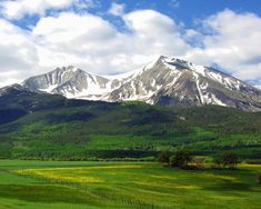 the mountains are covered in snow and green grass with yellow wildflowers on the foreground