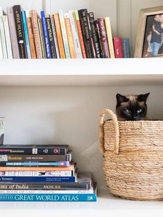 a cat sitting in a basket on top of a bookshelf next to some books