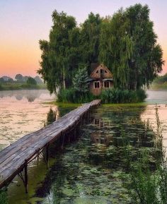 a wooden dock sitting next to a body of water with a house in the background