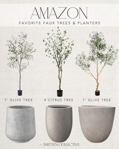 four different types of trees in pots with text that reads amazon favorite faux trees and planters