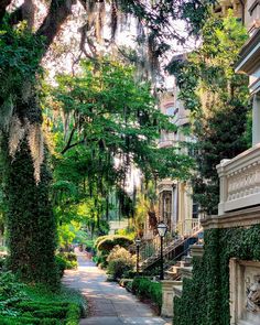 an alley way with trees and bushes on both sides