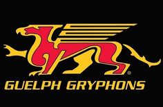 the logo for gulph grypphons is shown in yellow and red