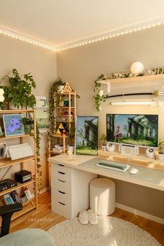 a home office with two computer screens and plants on the wall above it, along with a white rug