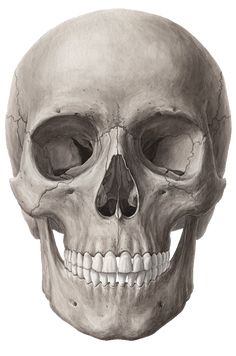 an image of a human skull with the green arrow in it's eye patch