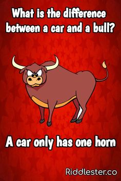 a bull that is standing up with the words what is the difference between a car and a bull?