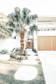 a palm tree in front of a house