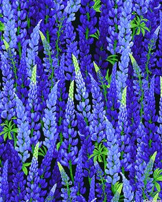 purple flowers with green leaves on a black background