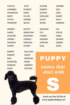 list of puppy names that start with s. Boy Puppy Names, Family Friendly Dogs, Dog List, Puppy Names, Name Inspiration, French Bulldog Puppies