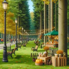 a park filled with lots of trees and benches